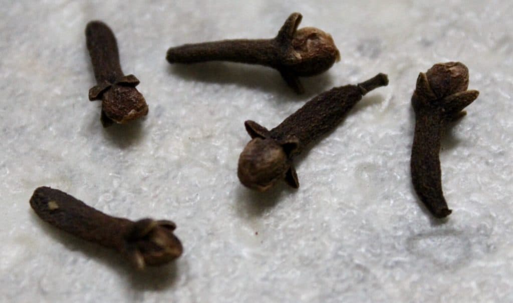 Cloves Flavor, History, and Usage The Foreign Fork