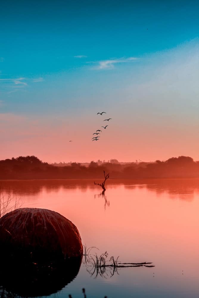 Sunset over the delta in Botswana