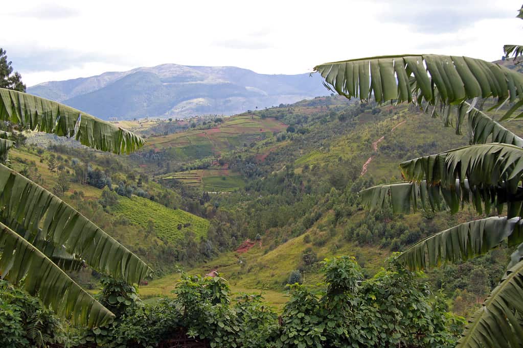 Landscape of Burundi