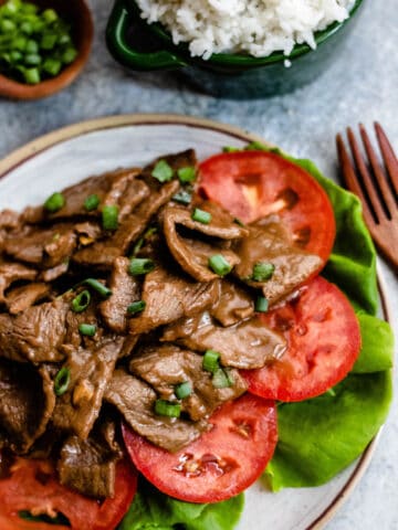 Close up vertical image of steak stir fry with white rice
