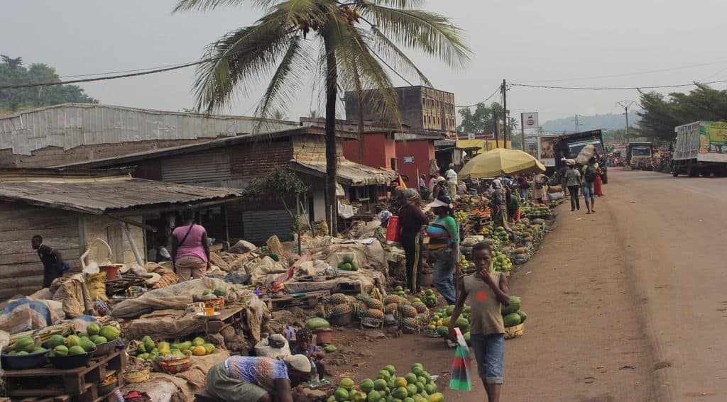 Fruit market  in Cameroon