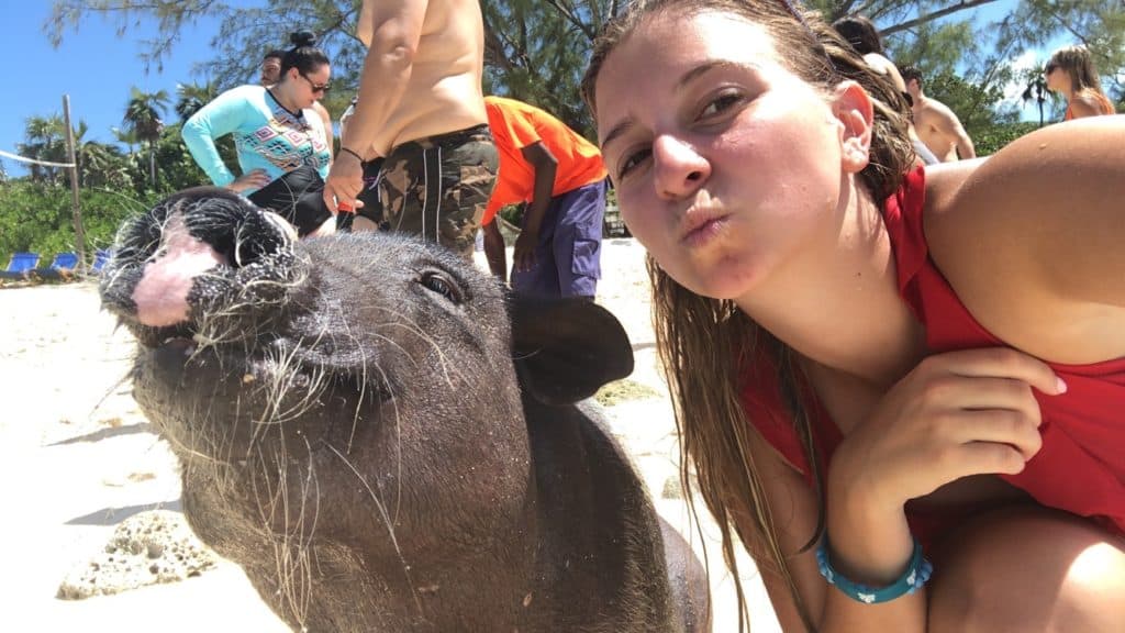 a girl taking a selfie with a pig on the beach. 