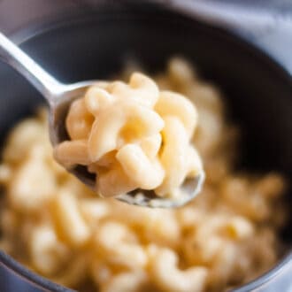 Spoonful of Homemade Macaroni and Cheese Recipe