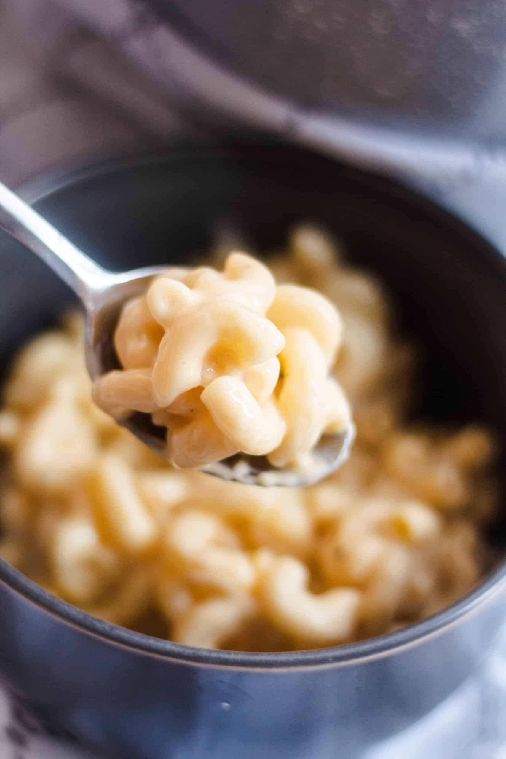 Spoonful of Homemade Macaroni and Cheese Recipe