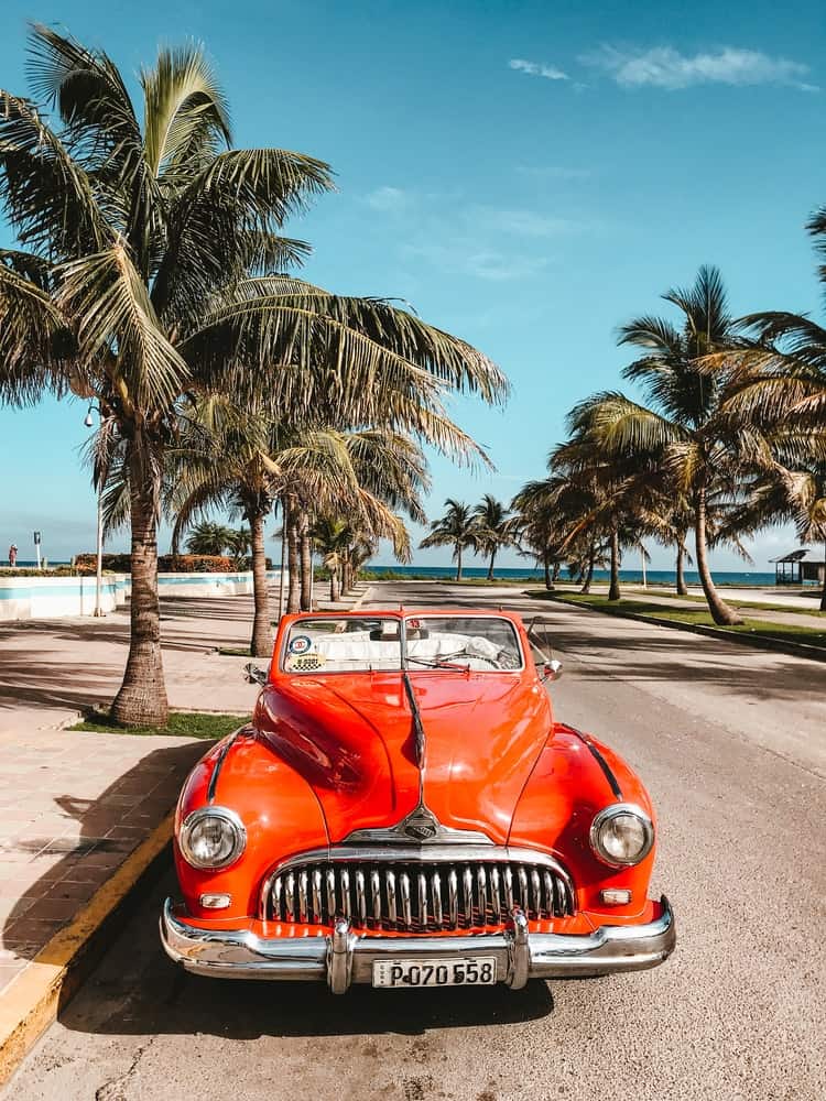 Cuban street with palm trees and old car 