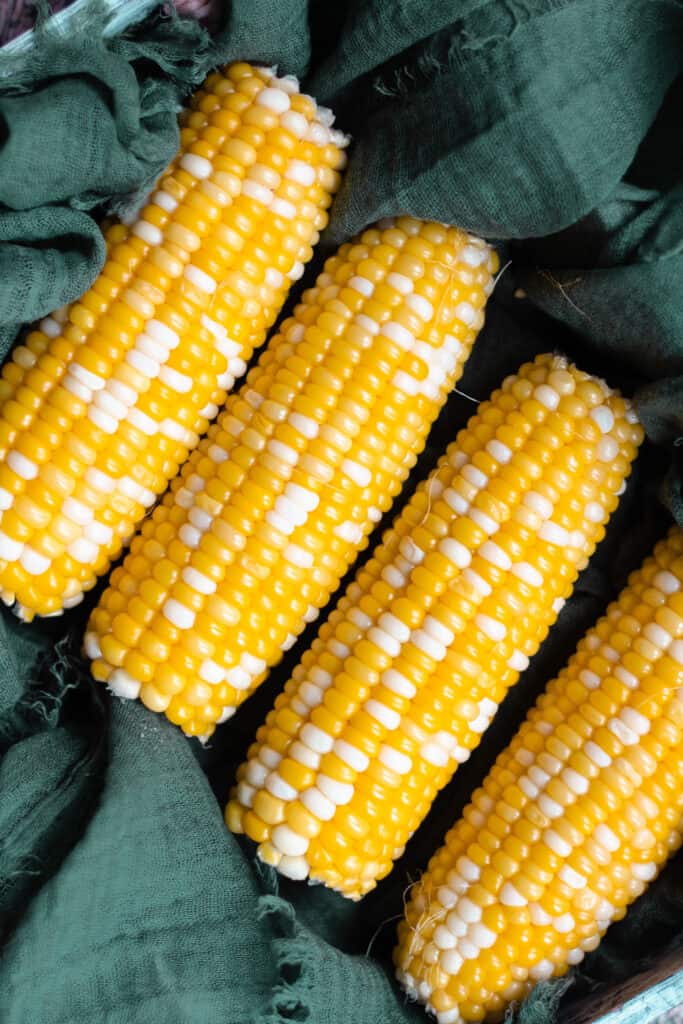 Close up of corn on the cob 