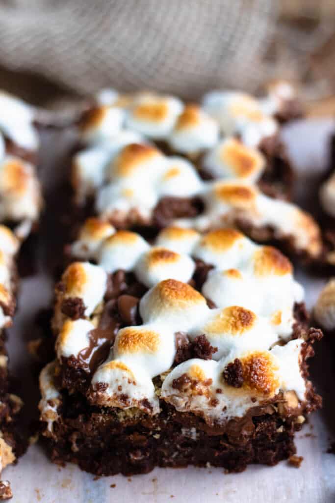 close up of dessert with toasted marshmallows