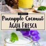 Quick and Easy Agua Fresca Pinterest Image middle design banner
