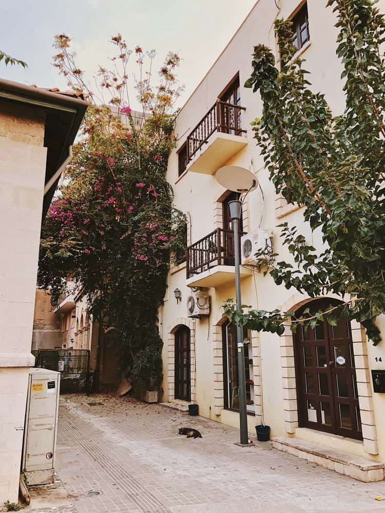 A neighborhood in Cyprus