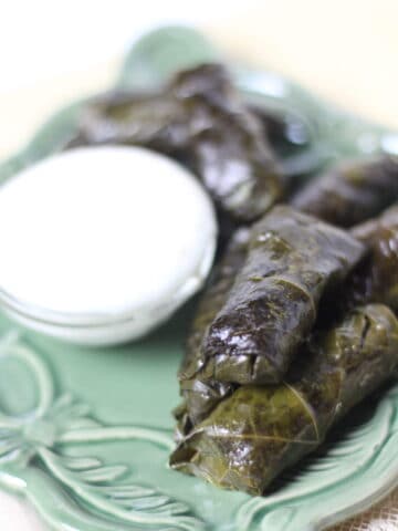 Grape leaves on a square plate next to garlic sauce.