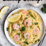 Instant Pot Shrimp Scampi Pinterest Image Top Banner