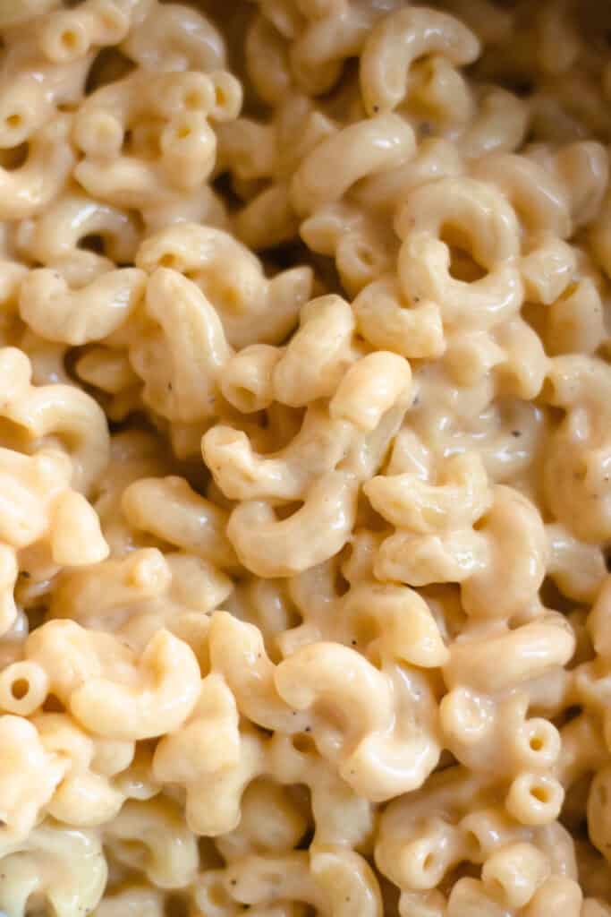 close up of creamy elbow mac and cheese 