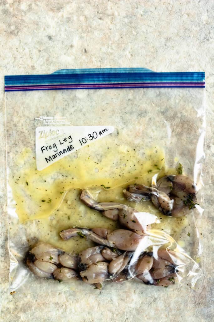 a plastic bag with frog legs and marinade inside, labeled "frog marinade 10:30 am" 