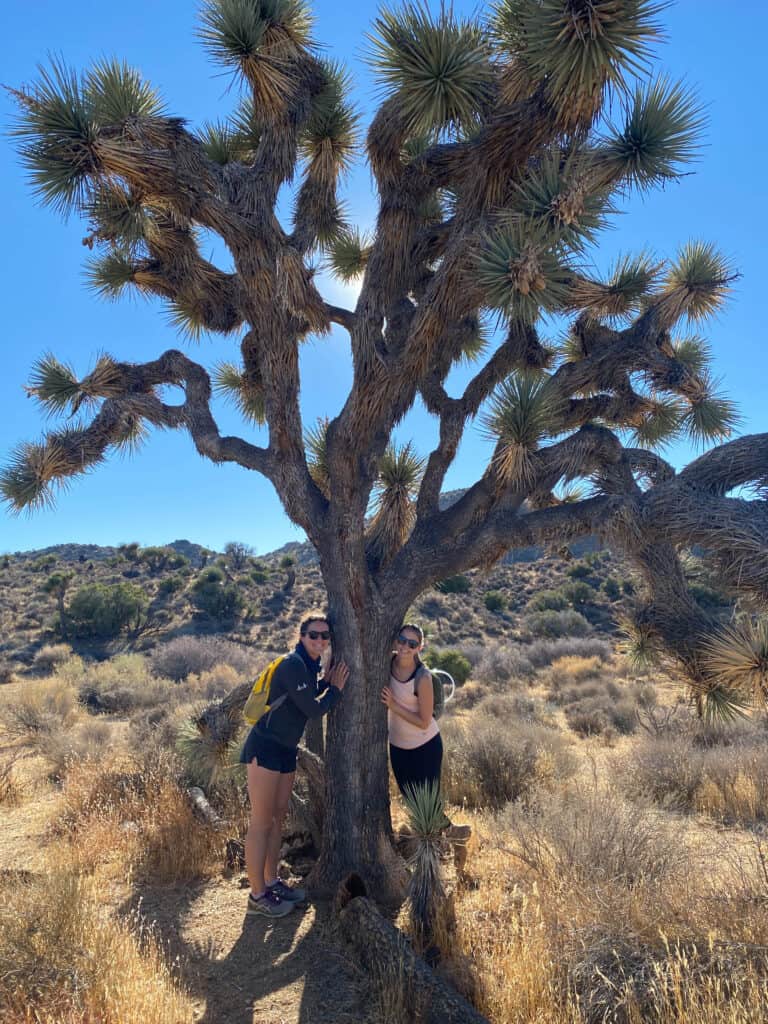 Alexandria and Kayla posing with a Joshua Tree in Joshua Tree National Park.