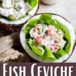 Fish Ceviche Recipe Pinterest Image bottom design banner