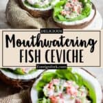 Fish Ceviche Recipe Pinterest Image middle design banner