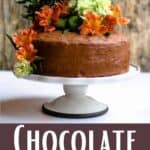 Chocolate Mayonnaise Cake Pinterest Image bottom design banner