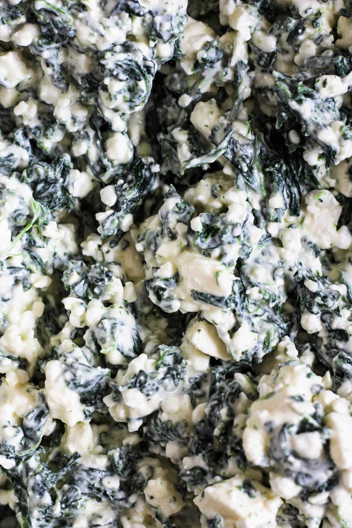 Close up of spinach pie filling