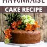 Chocolate Mayonnaise Cake Recipe top design banner