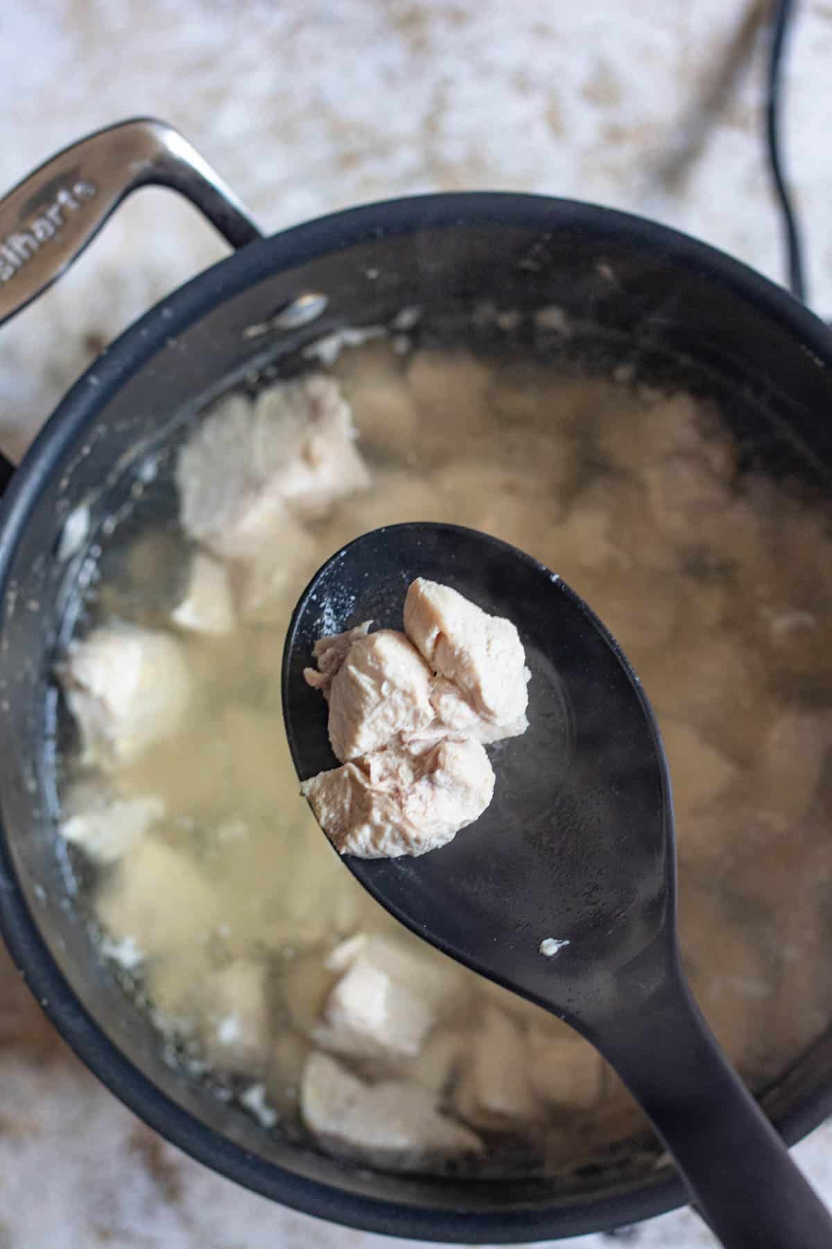 Boiled chicken on a spoon 
