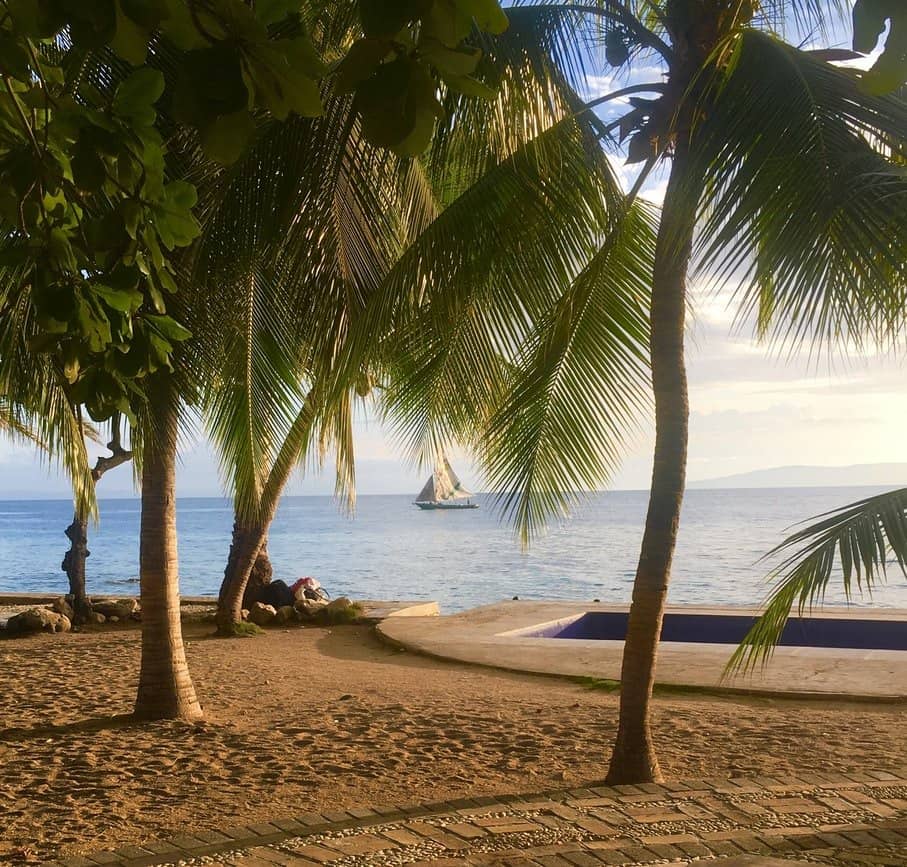 Palm trees on a beach in Haiti