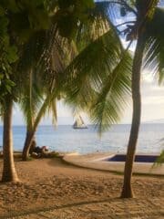 A beach in Haiti with sand and palm trees.
