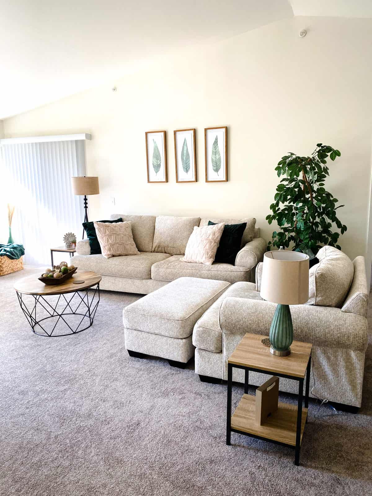 A living room with two couches and a plant.