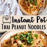 Instant Pot Thai Peanut Noodles Pinterest Image middle design banner