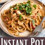 Instant Pot Thai Peanut Noodles Pinterest Image bottom design banner