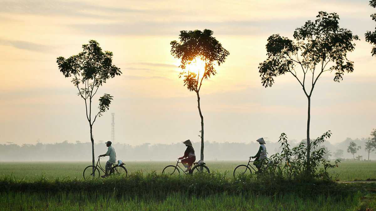 Sunset showing 3 Indonesian people riding their bikes in a rural area. 