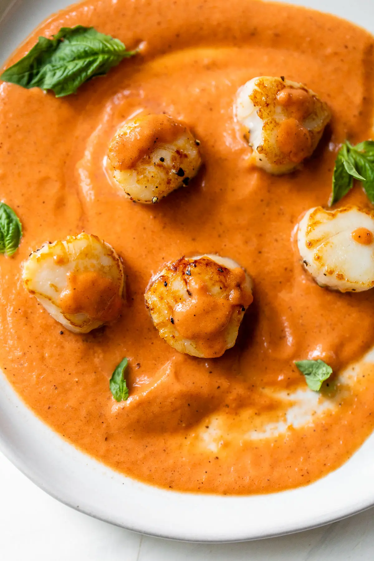 A bowl with tomato cream sauce smeared over the bottom is topped with seared scallops and a little tomato sauce dabbed over them. 