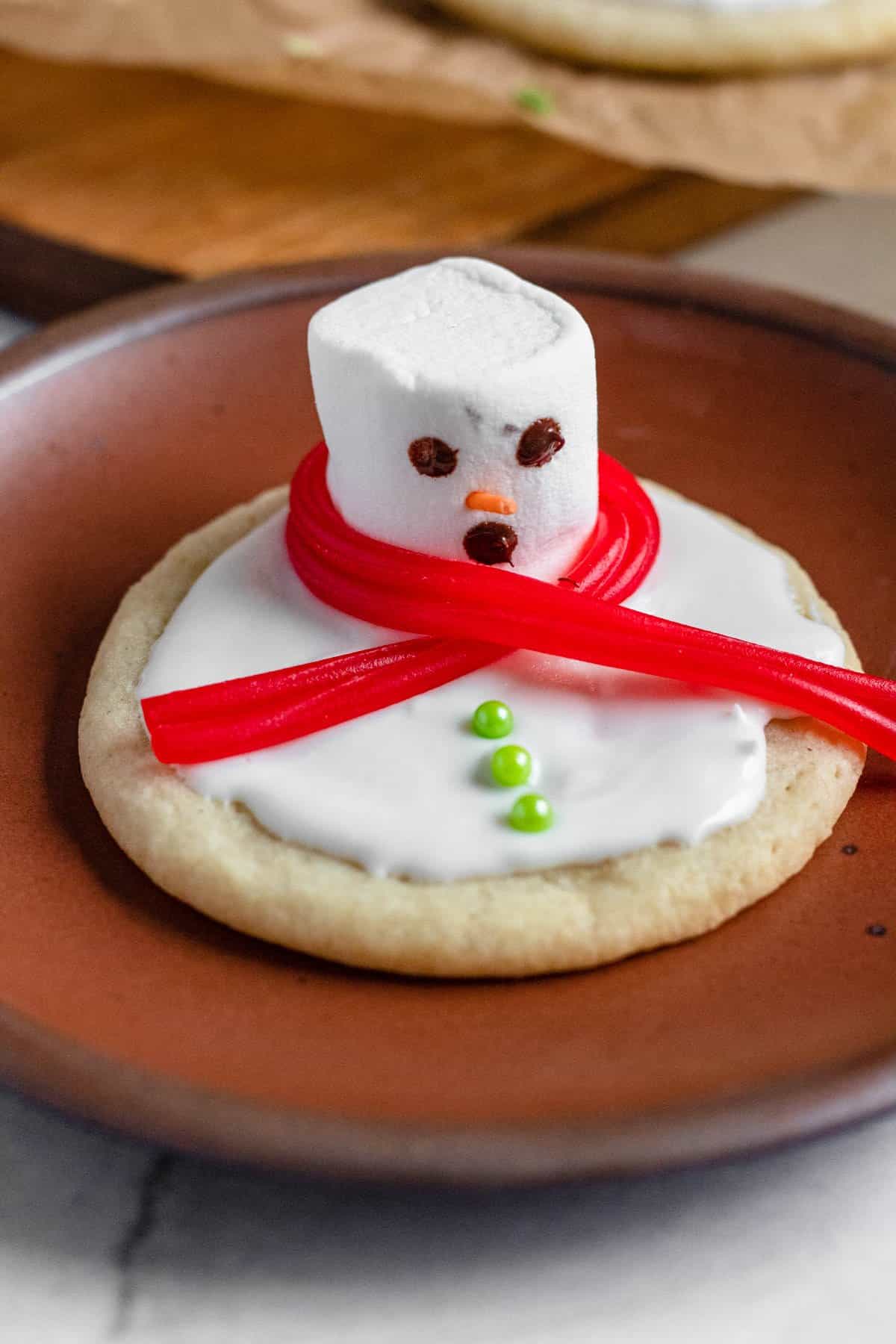 Melted chocolate added to the large marshmallow to include eyes and a nose on the melted snowman cookies. 