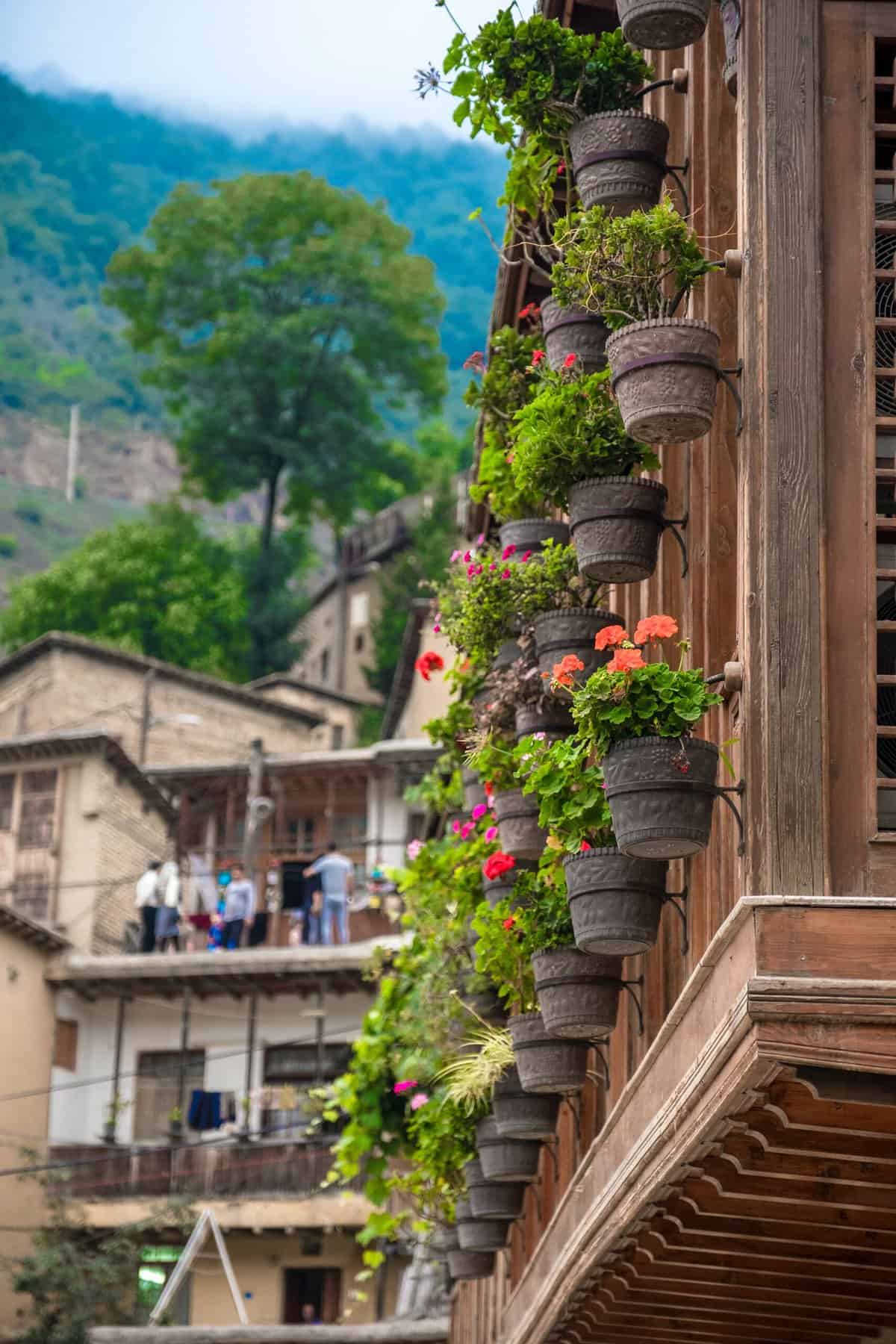 Potted plants on a balcony in an Iranian town 