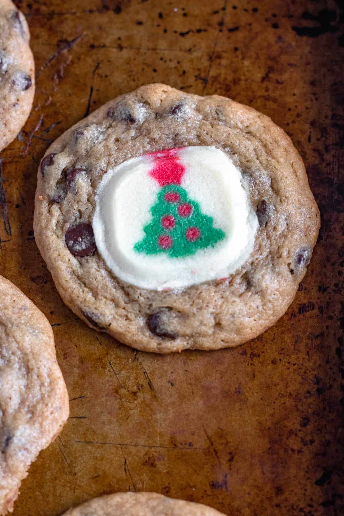 Close up of a single pillsbury christmas cookie just baked. 
