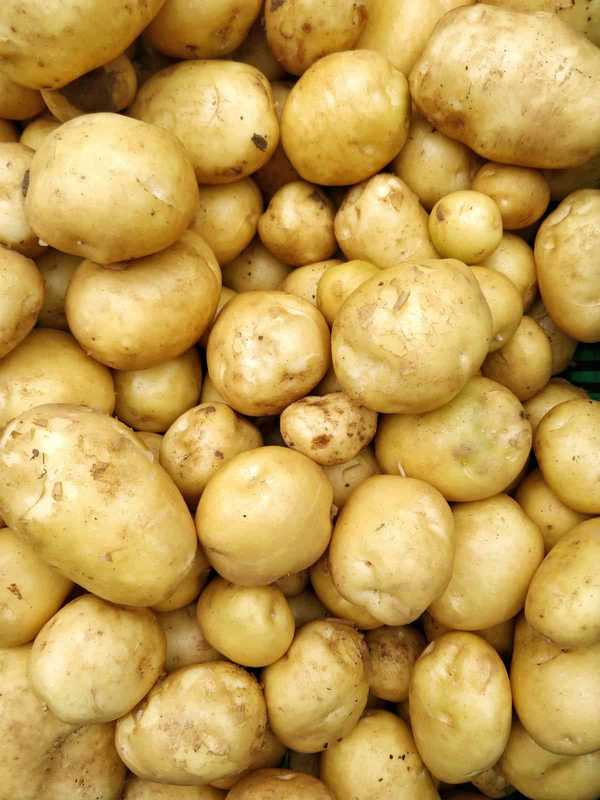 Pile of potatoes 