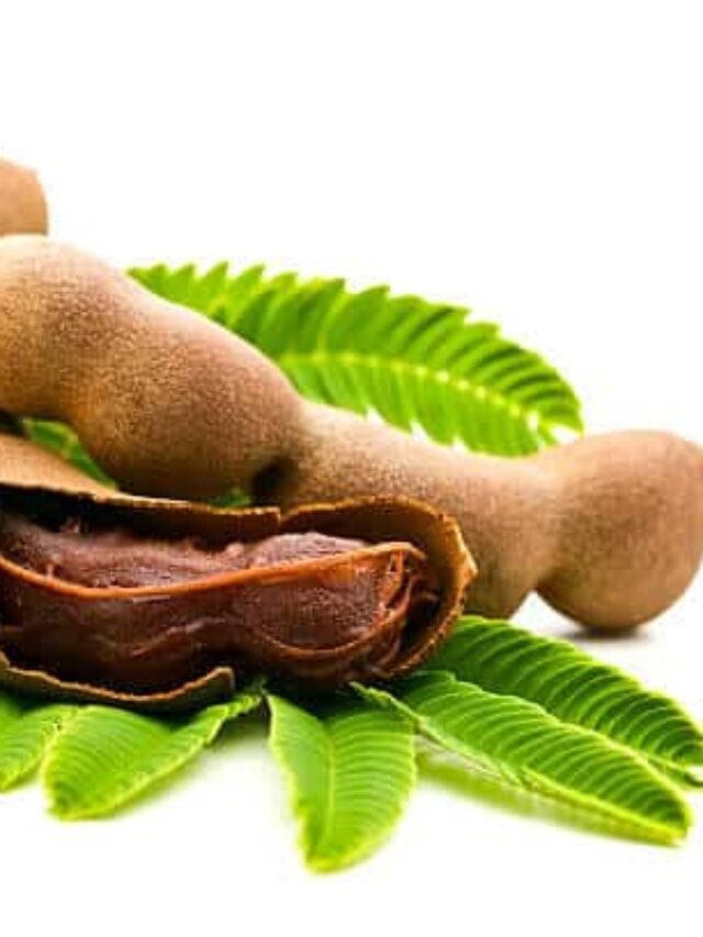 What Tamarind Tastes Like and Used In The Kitchen