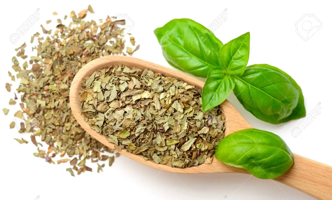 Fresh basil leaves and dried basil in a spoon. 