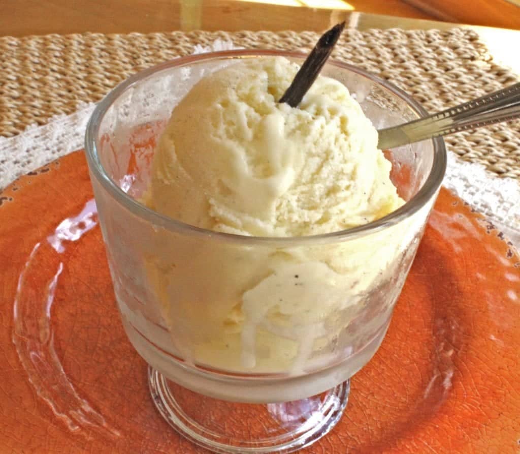 Vanilla bean gelato, an Italian dessert recipe, in a bowl with a whole vanilla bean garnished on the top. 