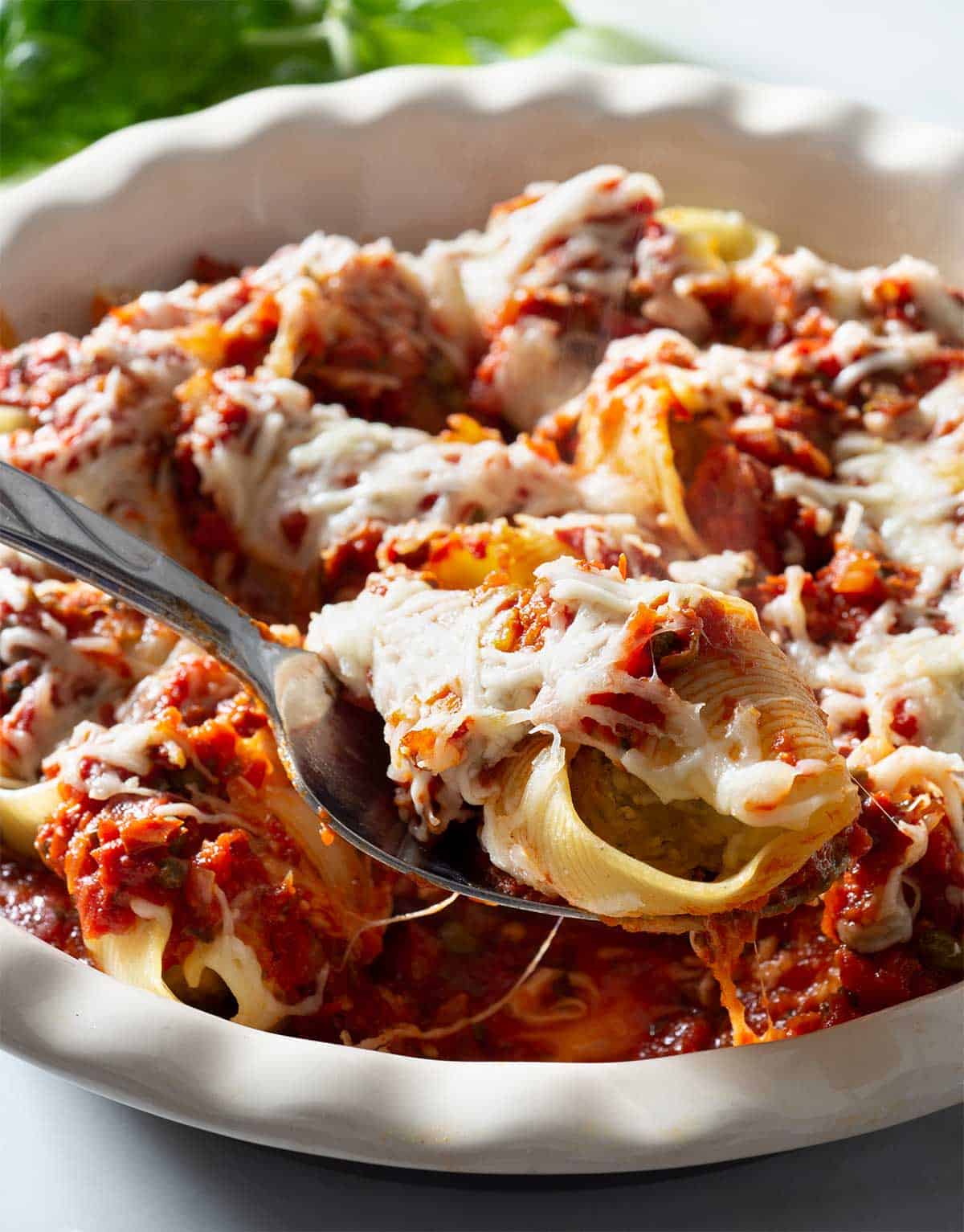 Stuffed shells with frozen meatballs in arrabbiata sauce topping it in a baking dish. 