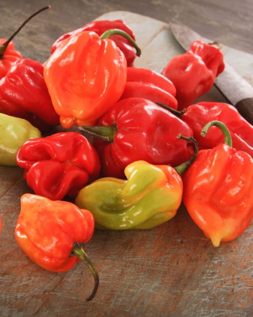 Scotch vs Habanero Similarities The Foreign Fork