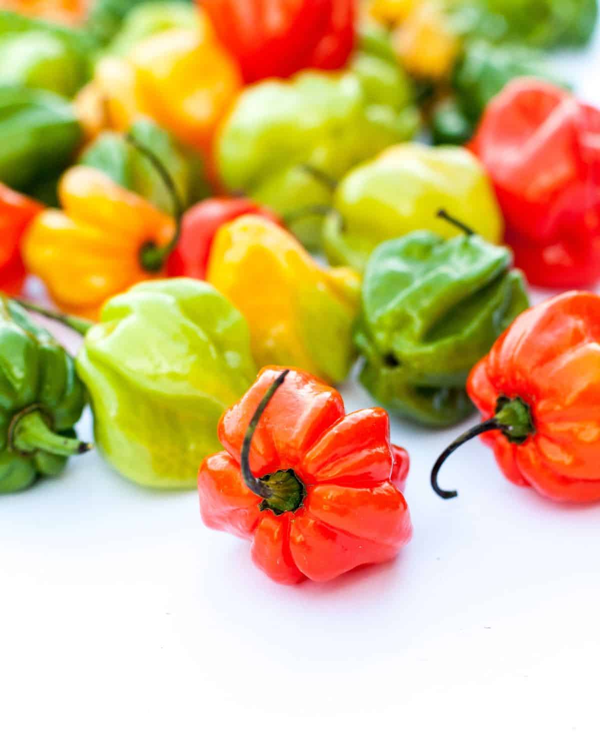 scotch bonnet peppers in various colors