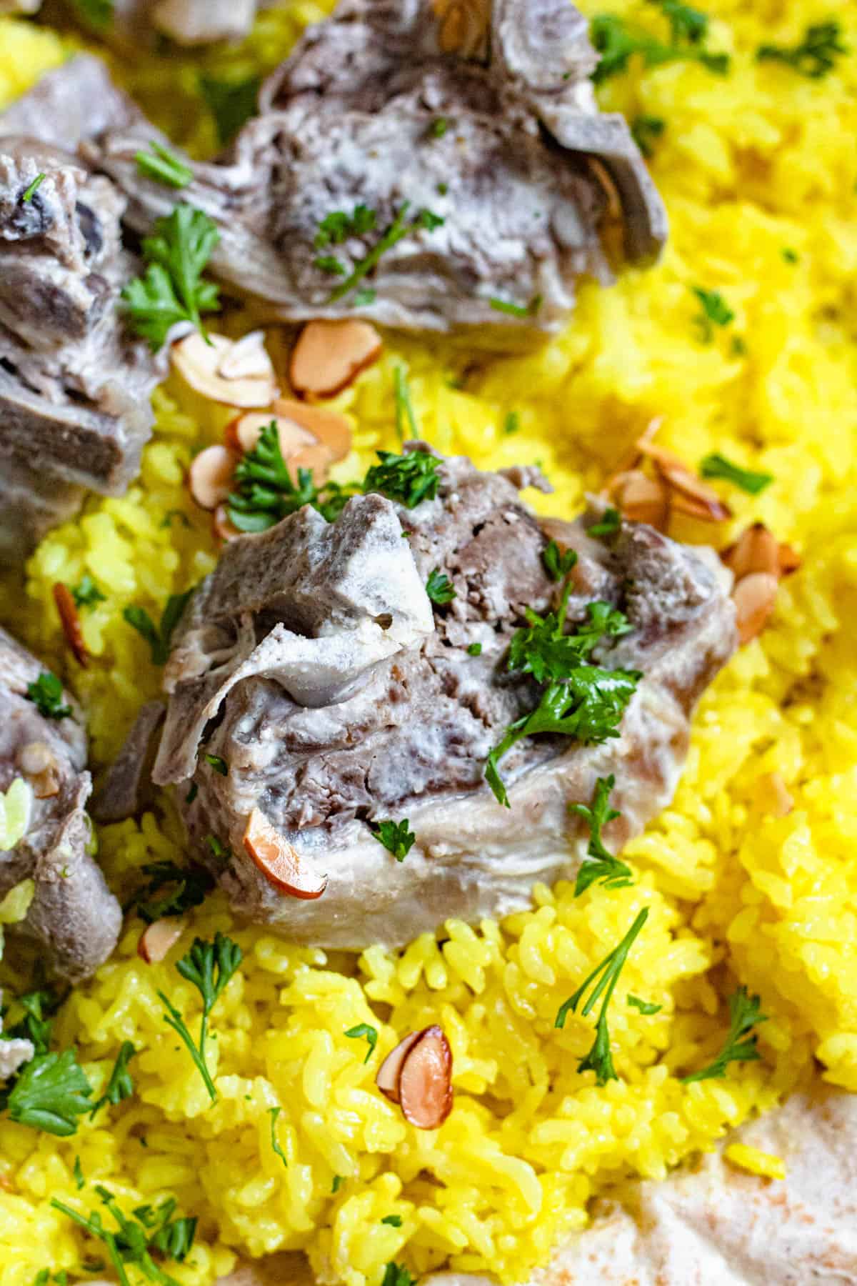 Close up of mansaf recipe showing tender lamb, seasoned rice and parsley. 