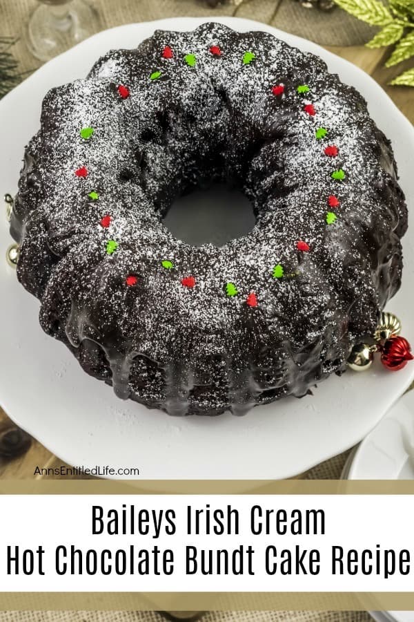 A baileys irish cream hot chocolate bundt cake served on a plate. 