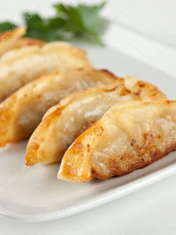Pan fried potstickers in a row on a white plate.
