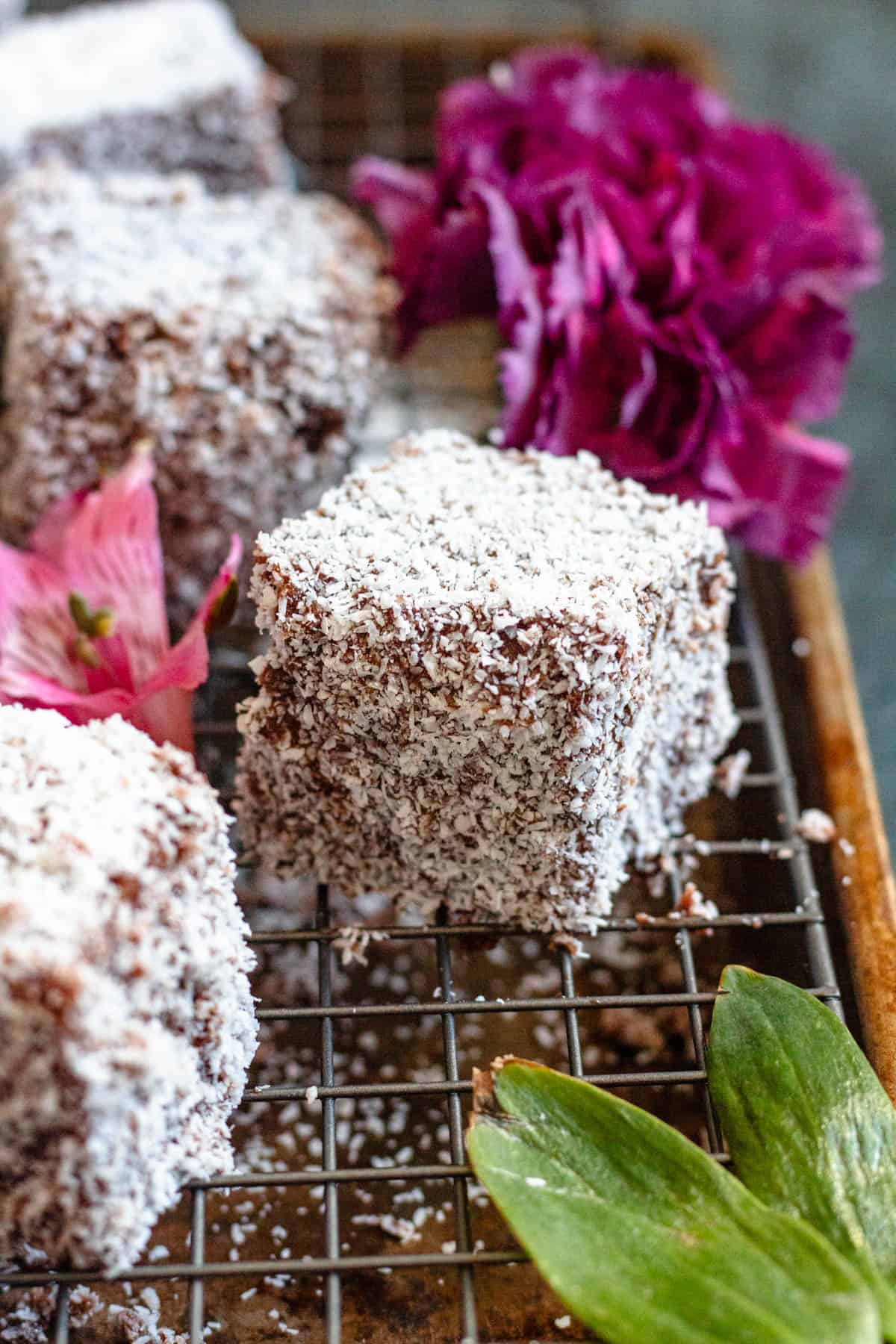 Close up photo of lamingtons coated in coconut and chocolate. 