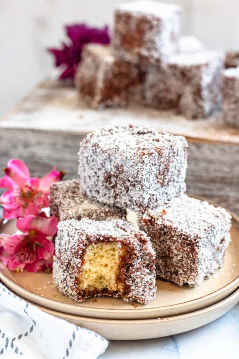 Lamingtons - Chocolate Coconut Sponge Cake- The Foreign Fork