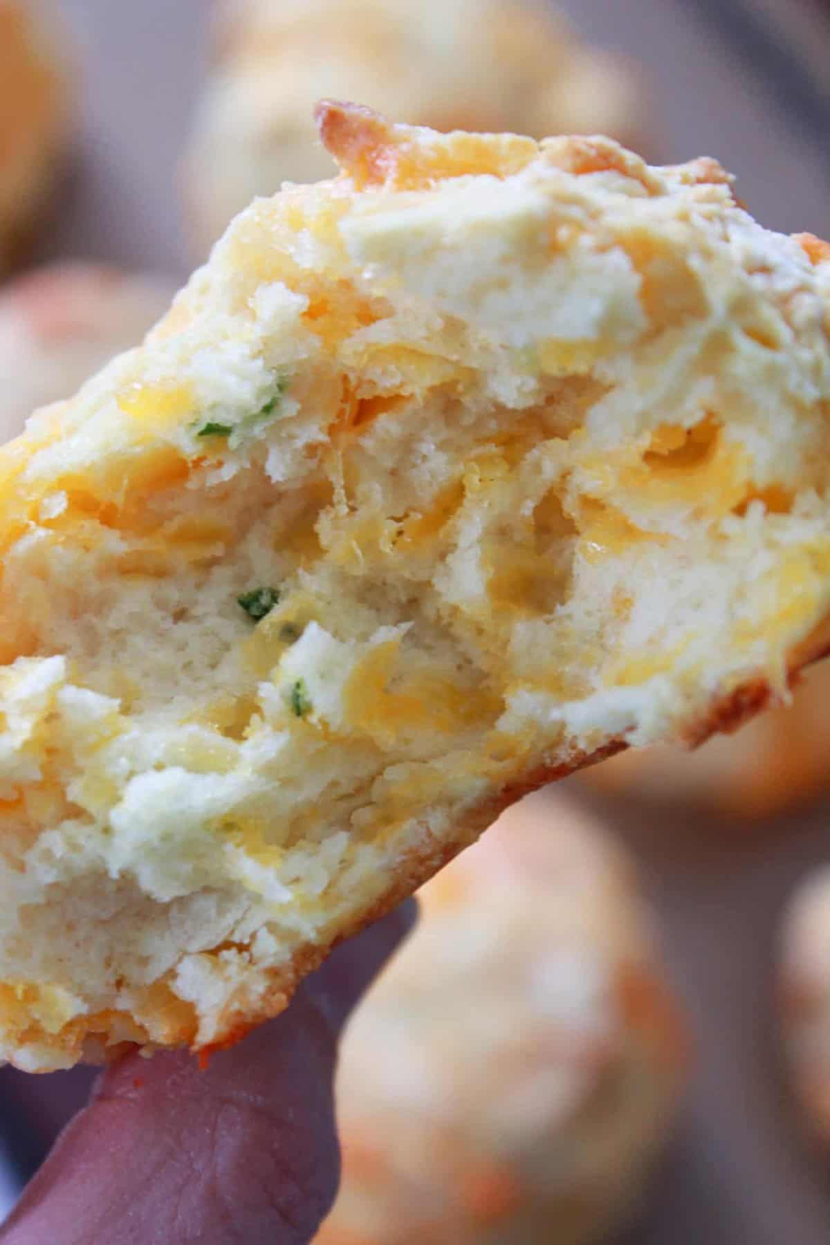 A cheddar and chive mini Irish soda biscuit being held up. 