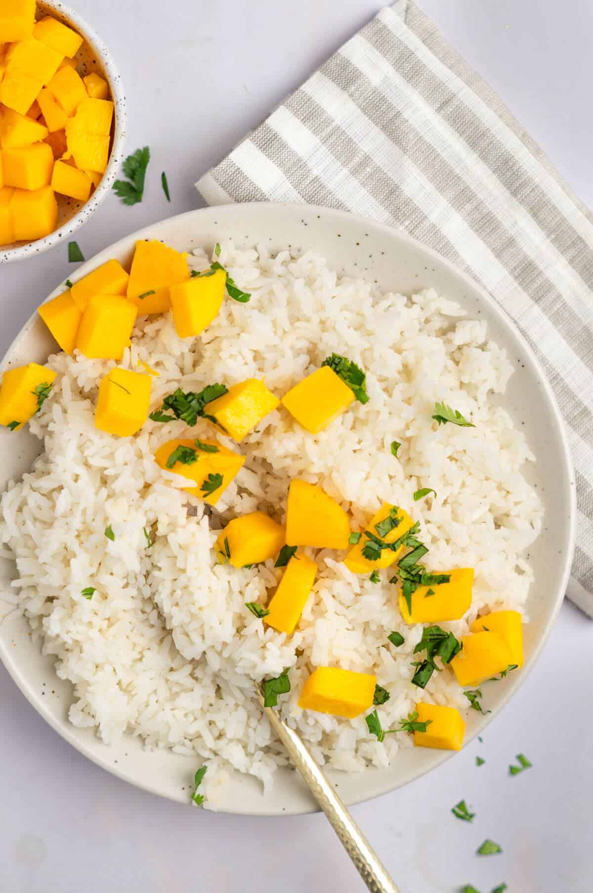 Instant pot coconut rice served on a plate with diced mango pieces and cilantro served over the top. 