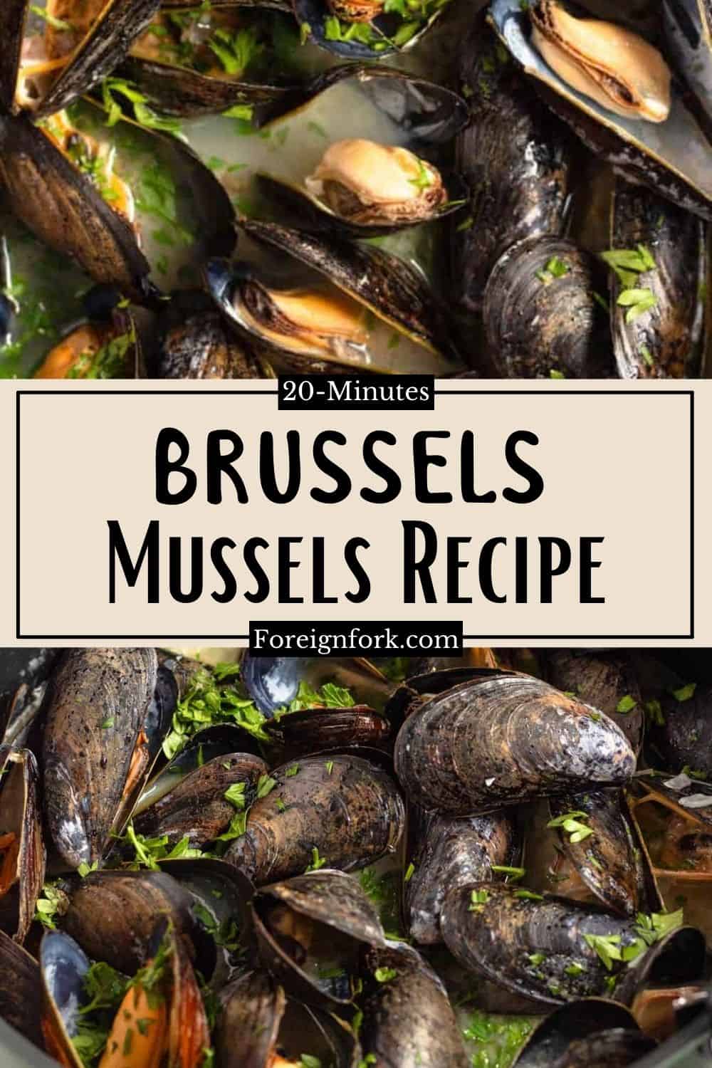 Brussels Mussels (Mussels Steamed in Wine from Belgium) The Foreign Fork