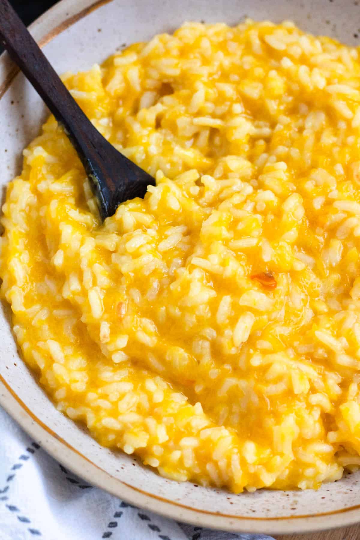 Close-up image of a creamy bowl of pumpkin rice.